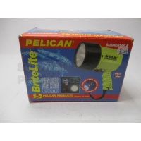 pelican_bright_light_395092699